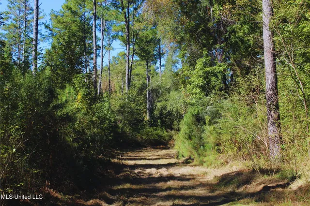 $3,725,000 | Ms-547, Port Gibson, MS 39150