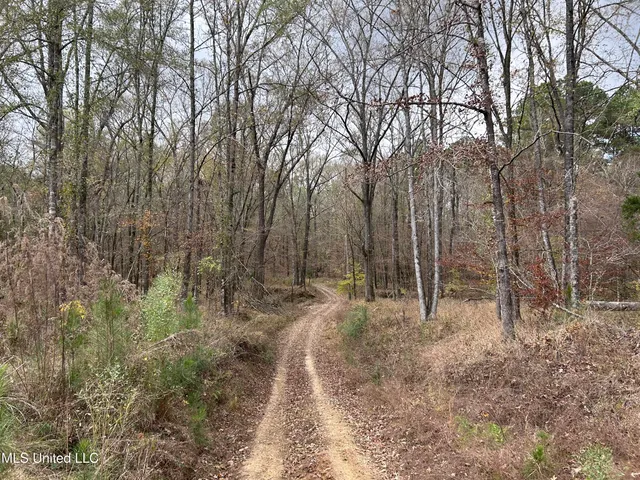 $3,725,000 | Ms-547, Port Gibson, MS 39150