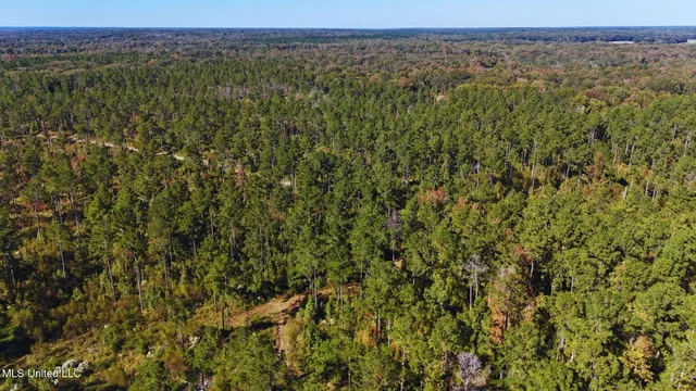$3,725,000 | Ms-547, Port Gibson, MS 39150