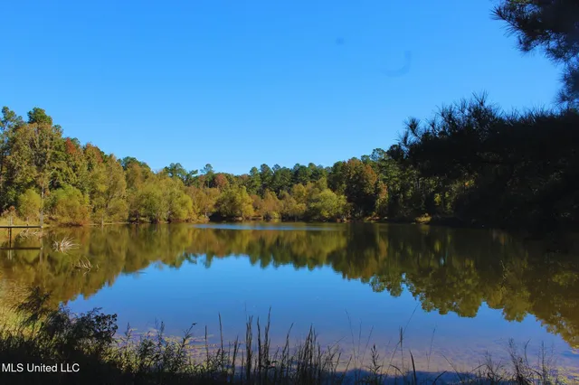 $3,725,000 | Ms-547, Port Gibson, MS 39150