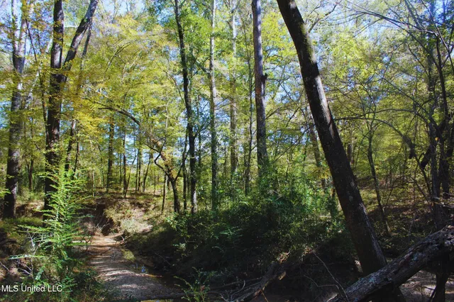 $3,725,000 | Ms-547, Port Gibson, MS 39150