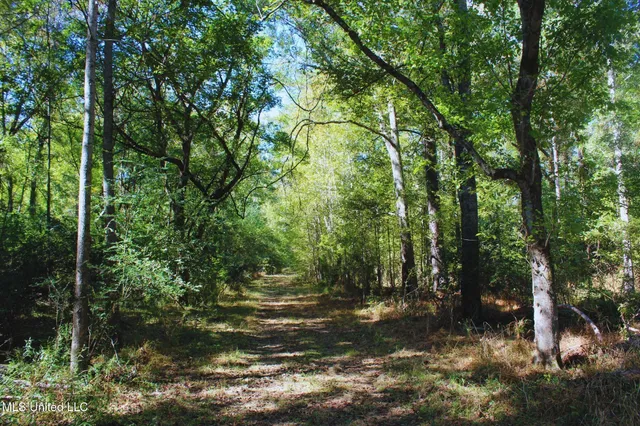 $3,725,000 | Ms-547, Port Gibson, MS 39150