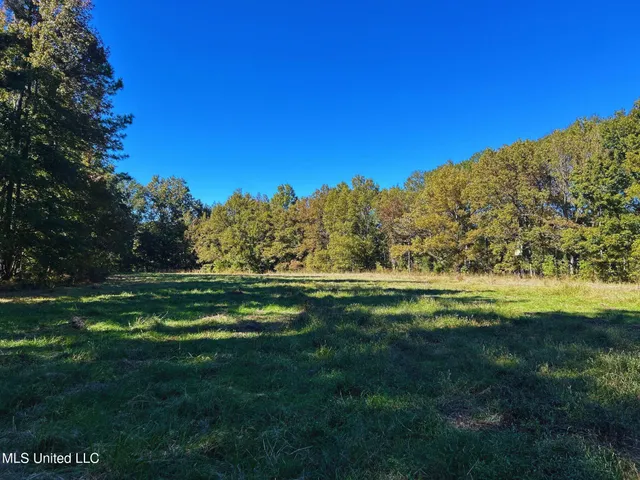 $3,725,000 | Ms-547, Port Gibson, MS 39150