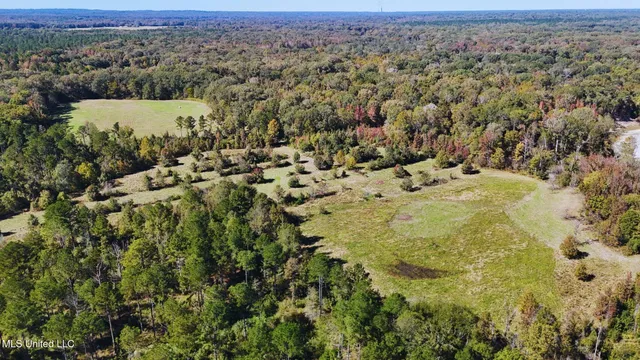 $3,725,000 | Ms-547, Port Gibson, MS 39150