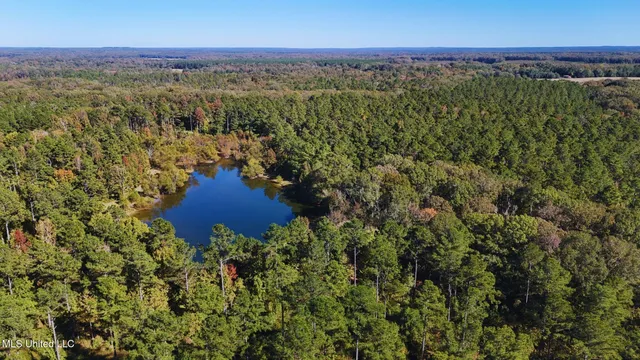 $3,725,000 | Ms-547, Port Gibson, MS 39150