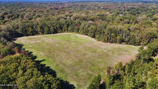 $3,725,000 | Ms-547, Port Gibson, MS 39150