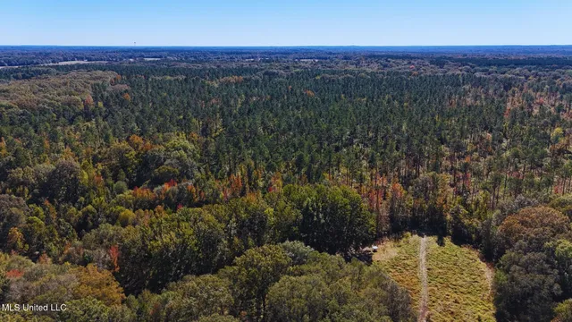 $3,725,000 | Ms-547, Port Gibson, MS 39150