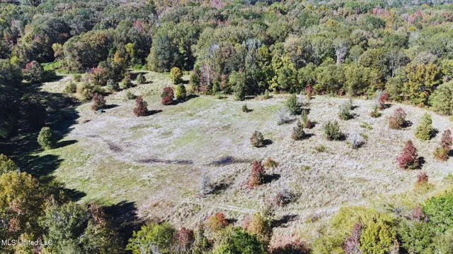 $3,725,000 | Ms-547, Port Gibson, MS 39150