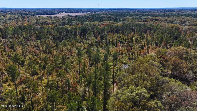 $3,725,000 | Ms-547, Port Gibson, MS 39150