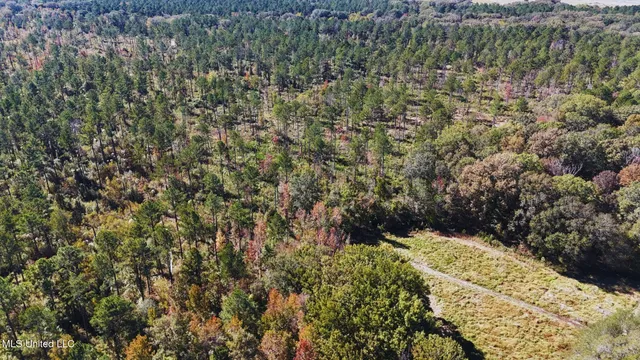 $3,725,000 | Ms-547, Port Gibson, MS 39150