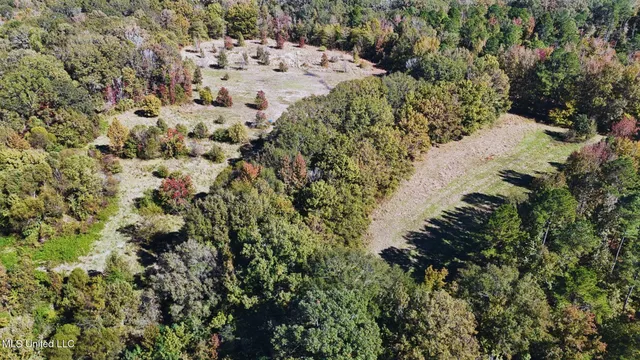 $3,725,000 | Ms-547, Port Gibson, MS 39150