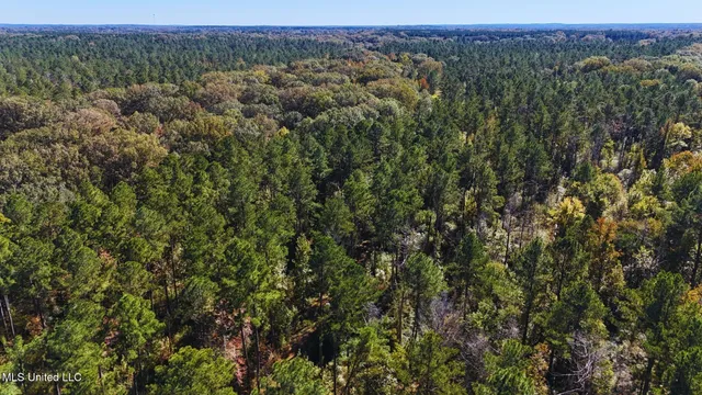 $3,725,000 | Ms-547, Port Gibson, MS 39150