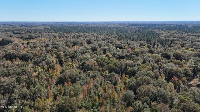 $3,725,000 | Ms-547, Port Gibson, MS 39150