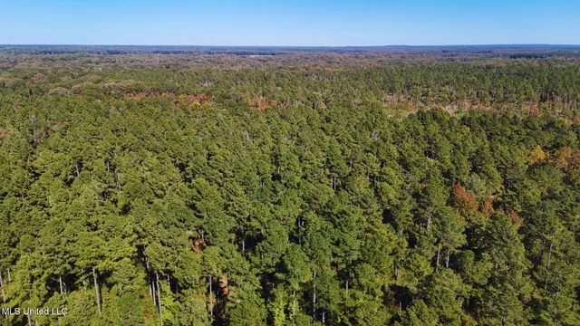 $3,725,000 | Ms-547, Port Gibson, MS 39150
