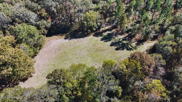 $3,725,000 | Ms-547, Port Gibson, MS 39150