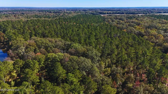 $3,725,000 | Ms-547, Port Gibson, MS 39150