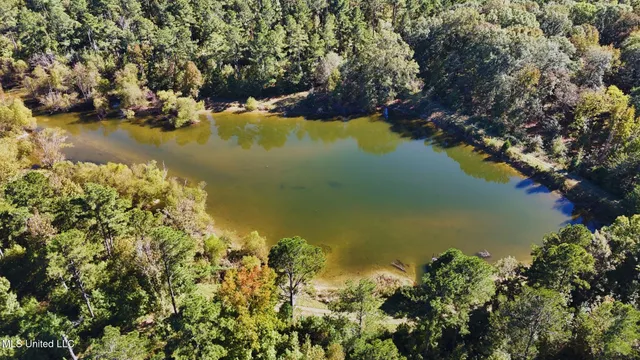 $3,725,000 | Ms-547, Port Gibson, MS 39150