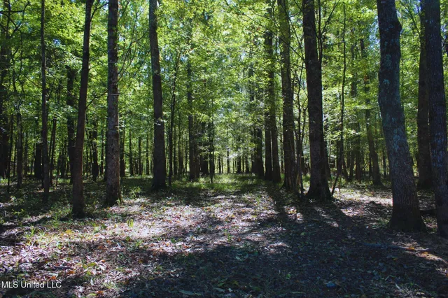 $3,725,000 | Ms-547, Port Gibson, MS 39150