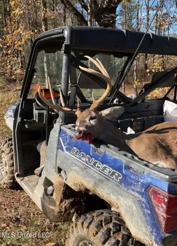 $3,725,000 | Ms-547, Port Gibson, MS 39150