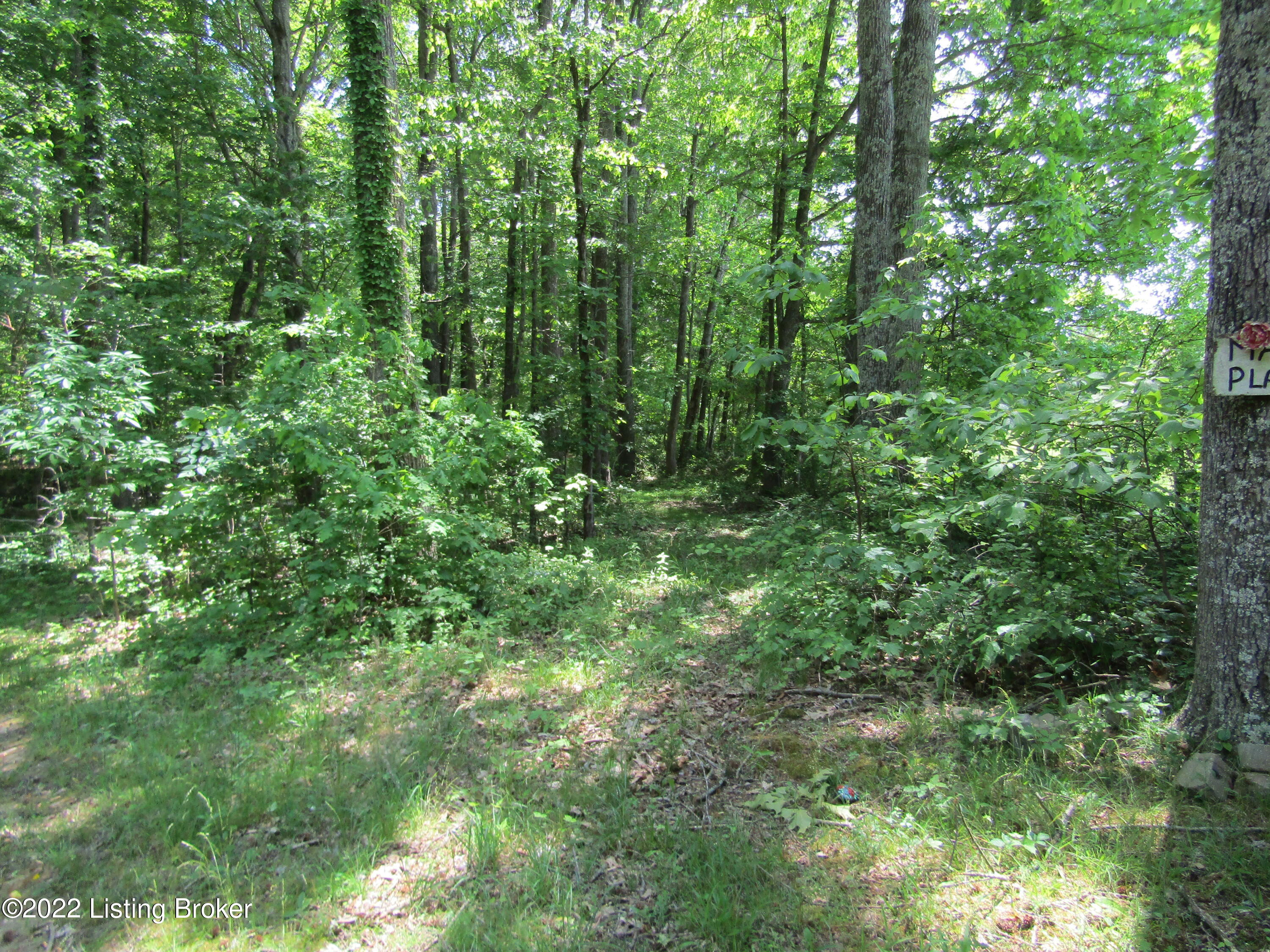 1260 Snap Road Clarkson, KY 42726 - Photo 13 of 36 IMG_0849