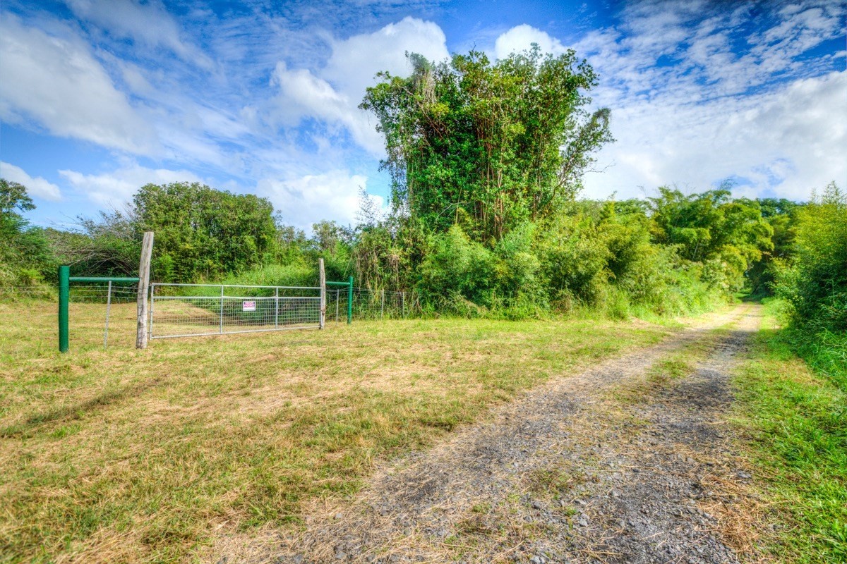 3 Middle Road Keaau, HI 96749 - Photo 1 of 30 Gallery Image 1
