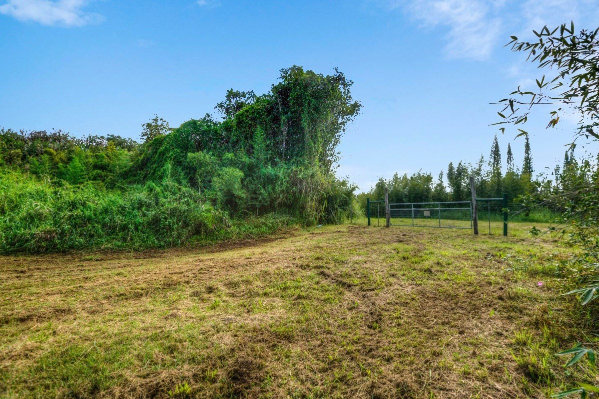 3 Middle Road Keaau, HI 96749 - Photo 11 of 30 Gallery Image 11