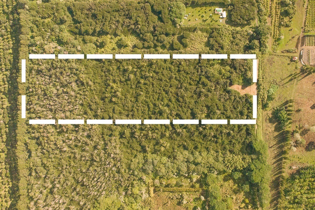 3 Middle Road Keaau, HI 96749 - Photo 12 of 30 Gallery Image 12