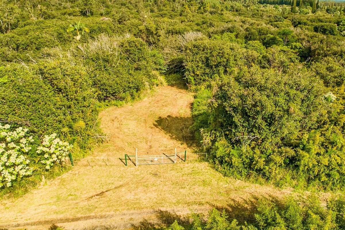 3 Middle Road Keaau, HI 96749 - Photo 14 of 30 Gallery Image 14