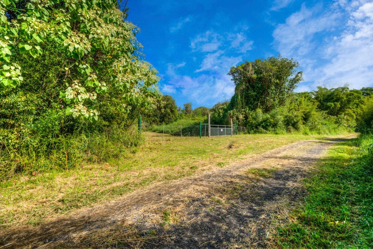 3 Middle Road Keaau, HI 96749 - Photo 16 of 30 Gallery Image 16