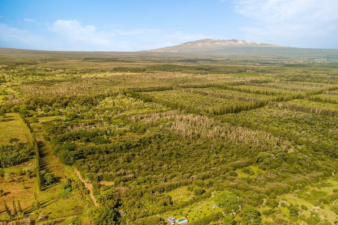 3 Middle Road Keaau, HI 96749 - Photo 19 of 30 Gallery Image 19