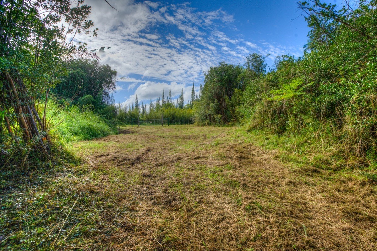 3 Middle Road Keaau, HI 96749 - Photo 2 of 30 Gallery Image 2