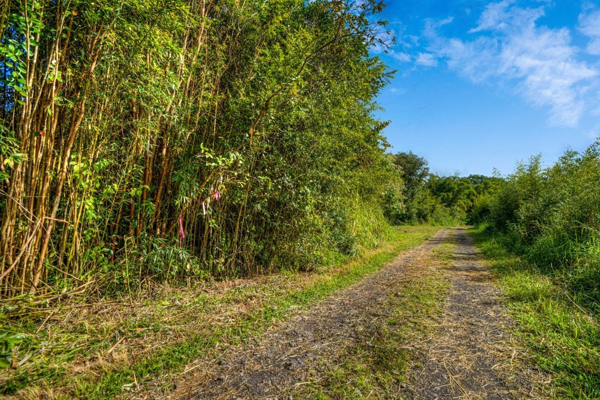3 Middle Road Keaau, HI 96749 - Photo 24 of 30 Gallery Image 24