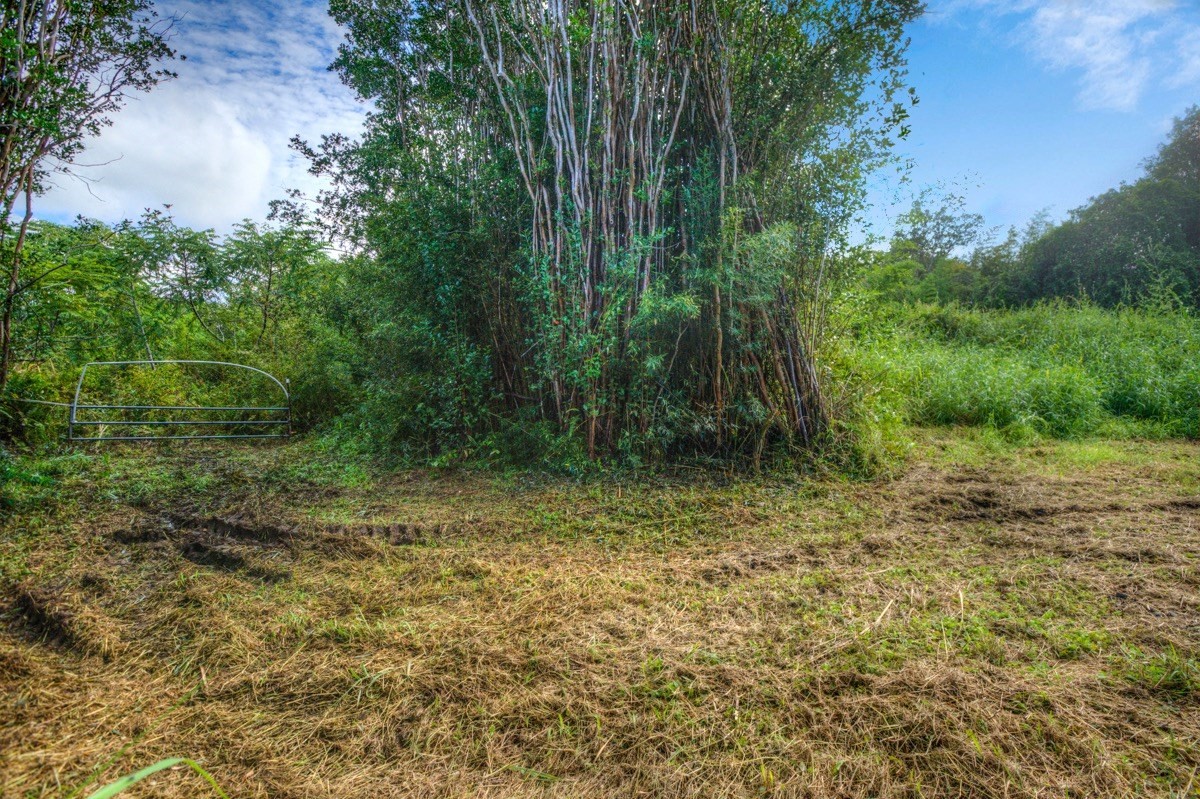 3 Middle Road Keaau, HI 96749 - Photo 25 of 30 Gallery Image 25