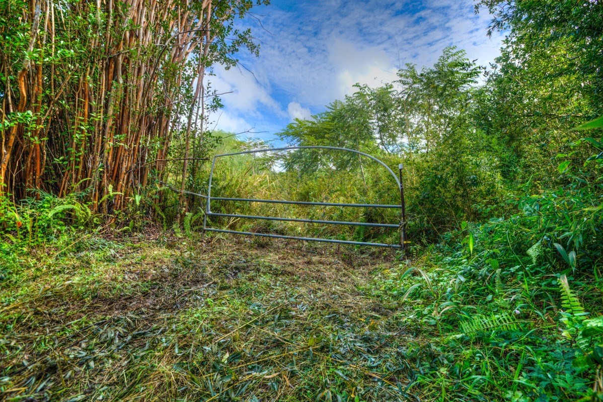 3 Middle Road Keaau, HI 96749 - Photo 26 of 30 Gallery Image 26