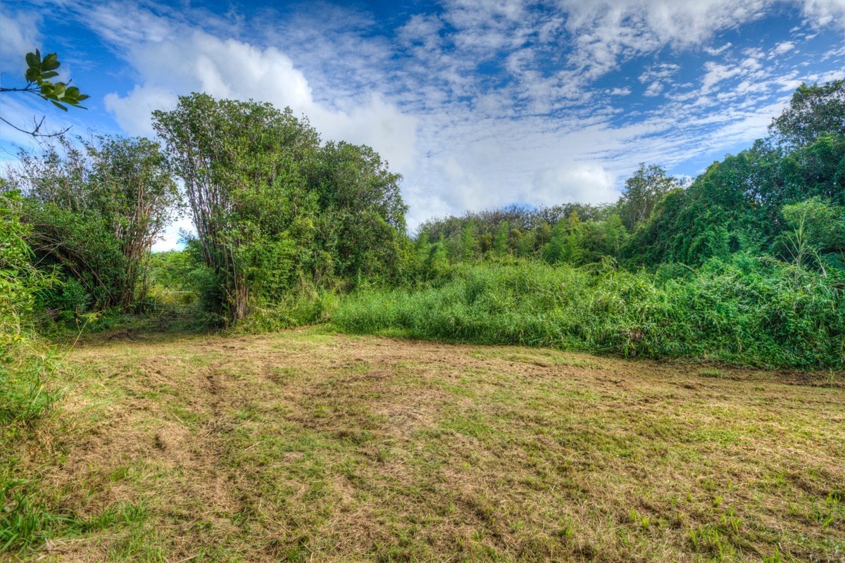 3 Middle Road Keaau, HI 96749 - Photo 27 of 30 Gallery Image 27