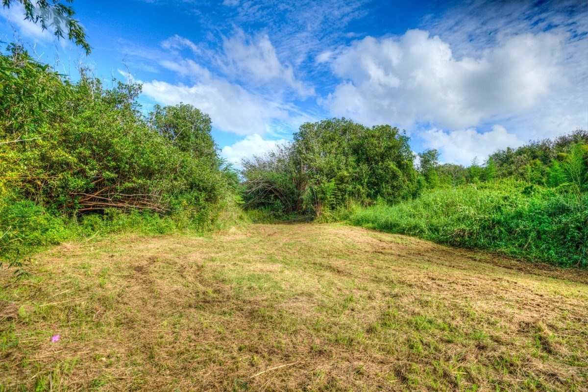 3 Middle Road Keaau, HI 96749 - Photo 28 of 30 Gallery Image 28