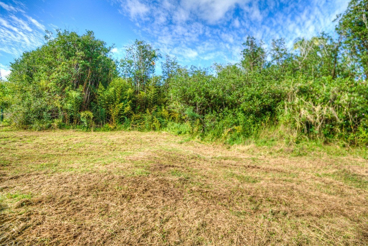 3 Middle Road Keaau, HI 96749 - Photo 29 of 30 Gallery Image 29