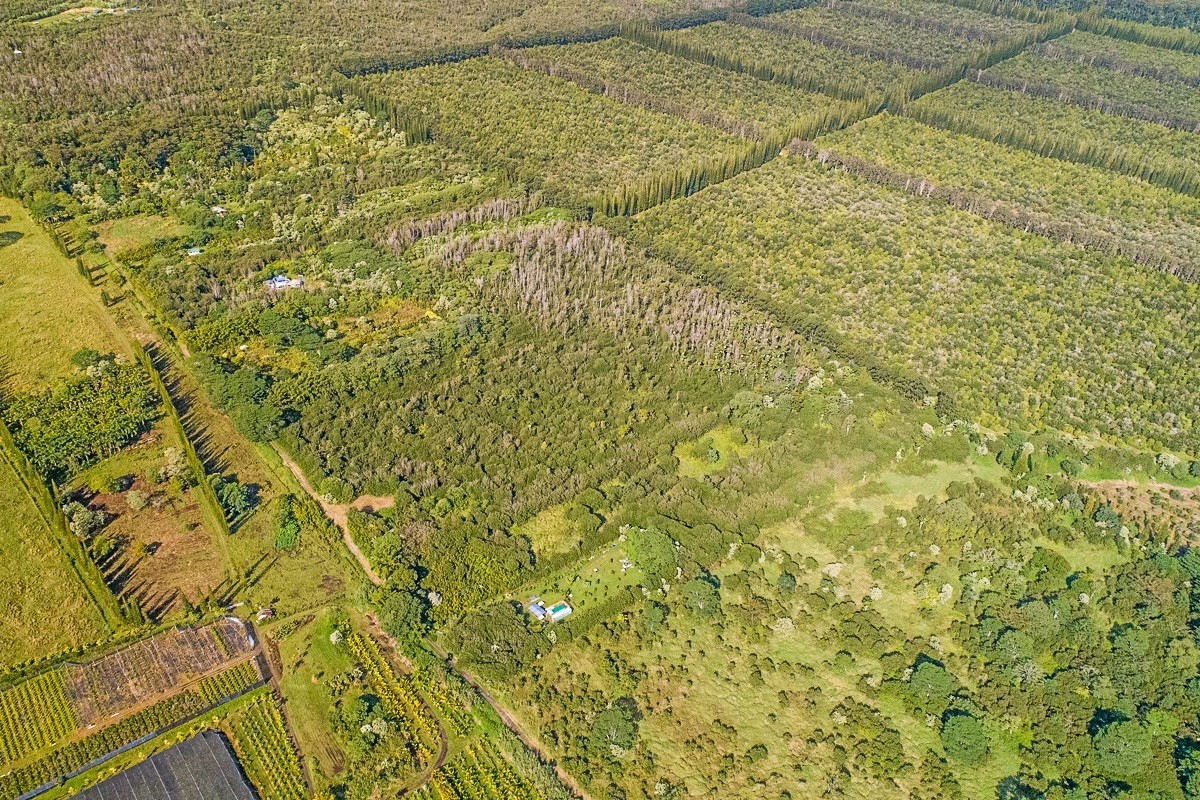 3 Middle Road Keaau, HI 96749 - Photo 30 of 30 Gallery Image 30