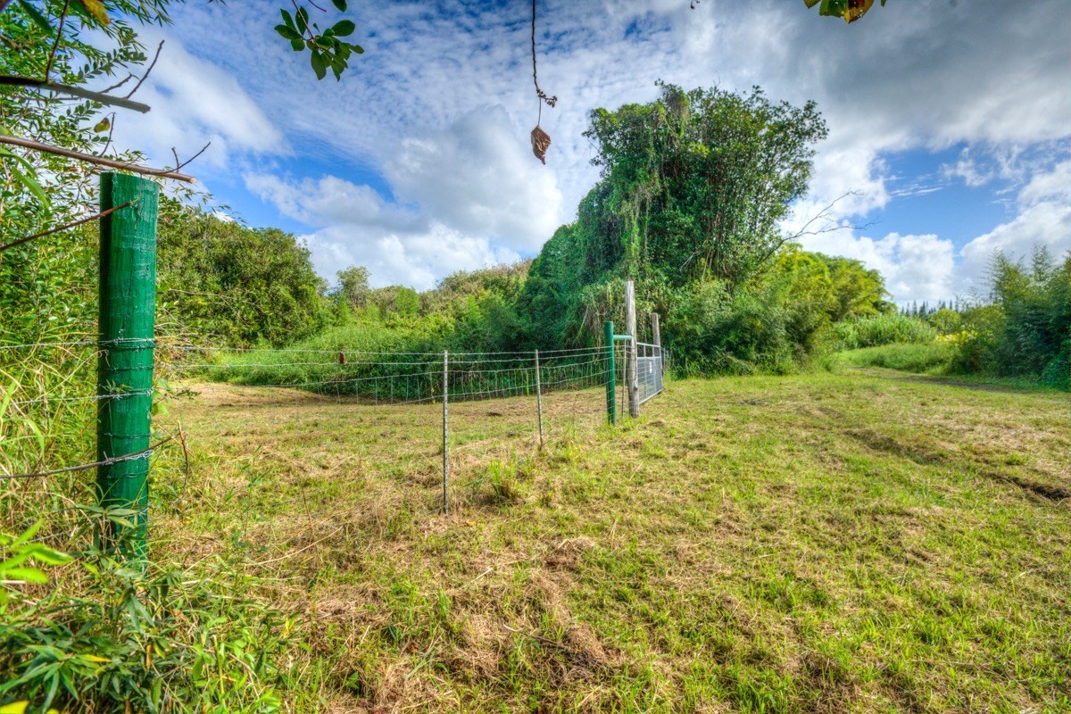 3 Middle Road Keaau, HI 96749 - Photo 3 of 30 Gallery Image 3