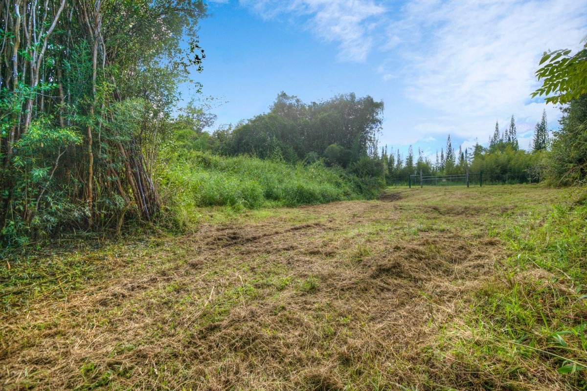 3 Middle Road Keaau, HI 96749 - Photo 5 of 30 Gallery Image 5
