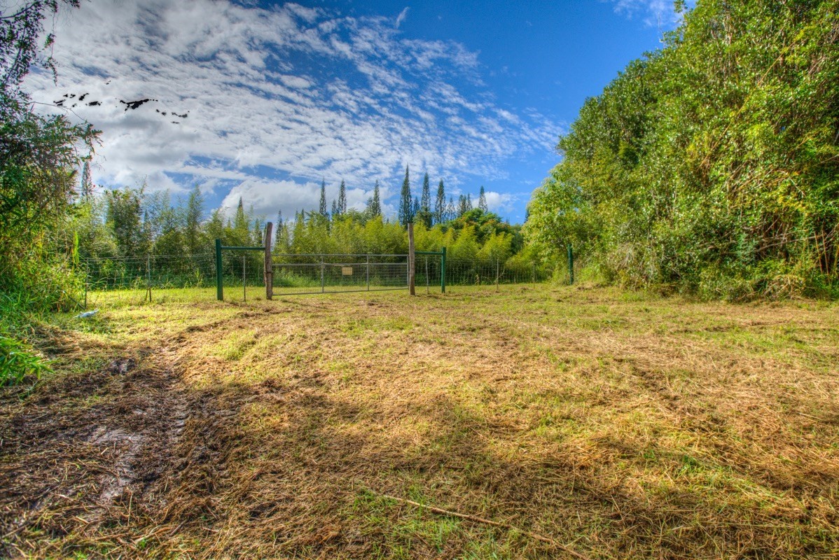 3 Middle Road Keaau, HI 96749 - Photo 6 of 30 Gallery Image 6