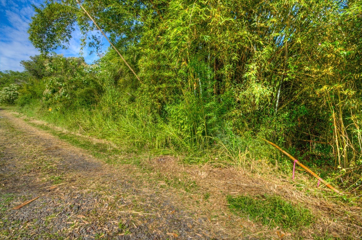 3 Middle Road Keaau, HI 96749 - Photo 8 of 30 Gallery Image 8