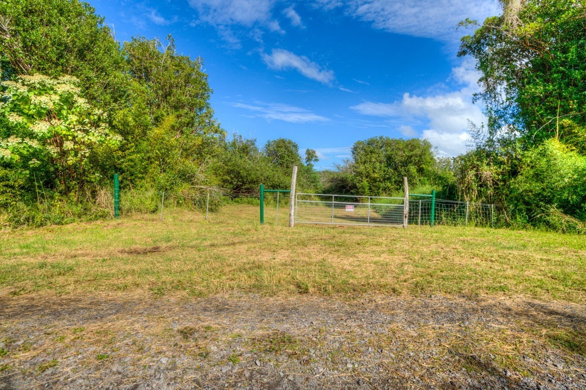 3 Middle Road Keaau, HI 96749 - Photo 10 of 30 Gallery Image 10