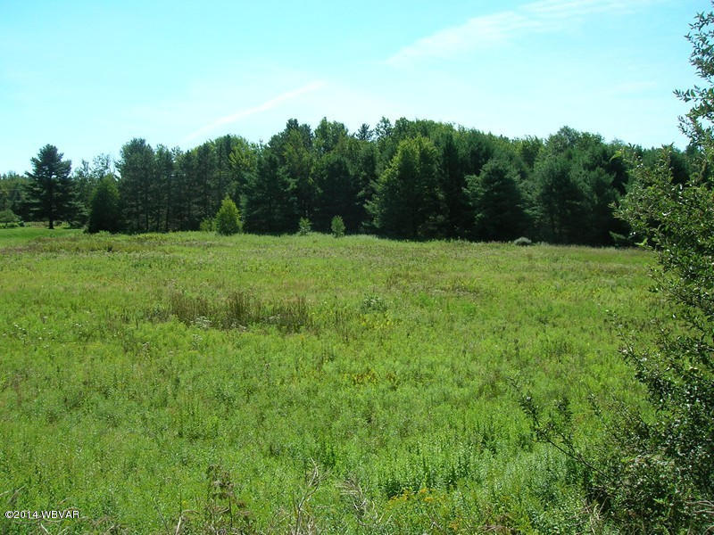 Lot 1 362nd Route Wellsboro, PA 16901 - Photo 2 of 9 125787-02