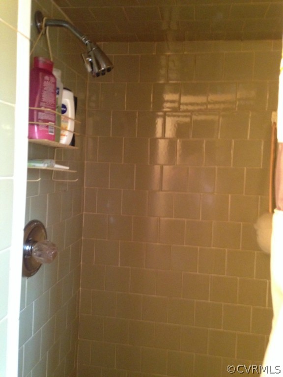 16131 Sandwave Road Chester, VA 23831 - Photo 16 of 24 a bathroom with a shower