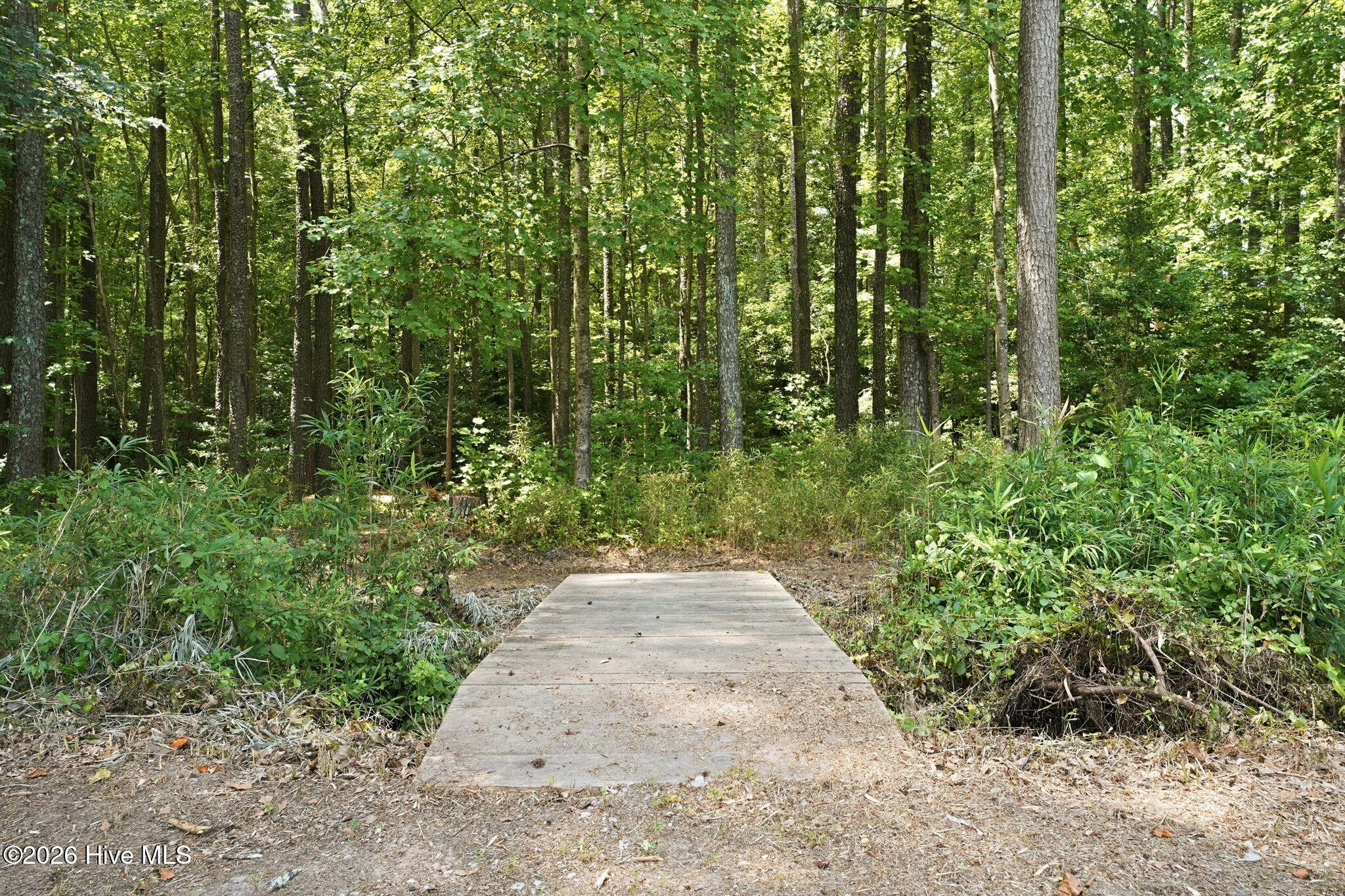 4800 Eatmon Road Bailey, NC 27807 - Photo 60 of 63