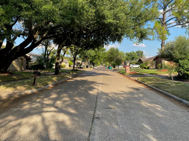 a view of a street with a tree