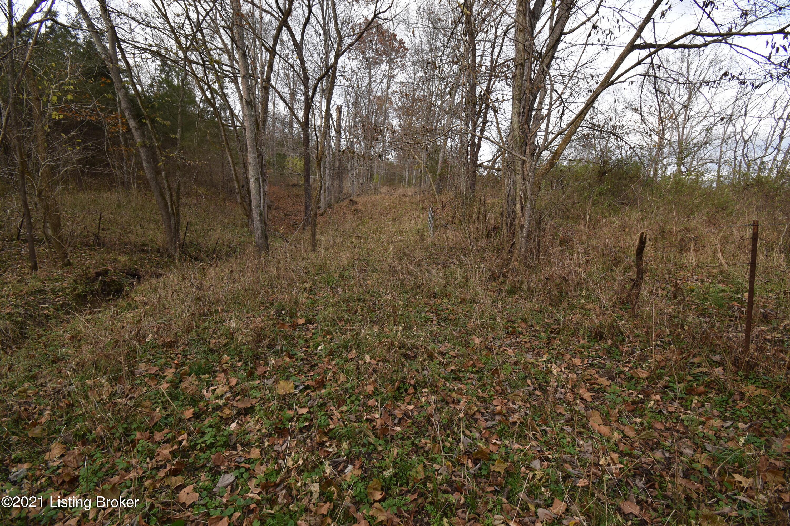 0 Prather Ridge Road Willisburg, KY 40078 - Photo 14 of 20 13