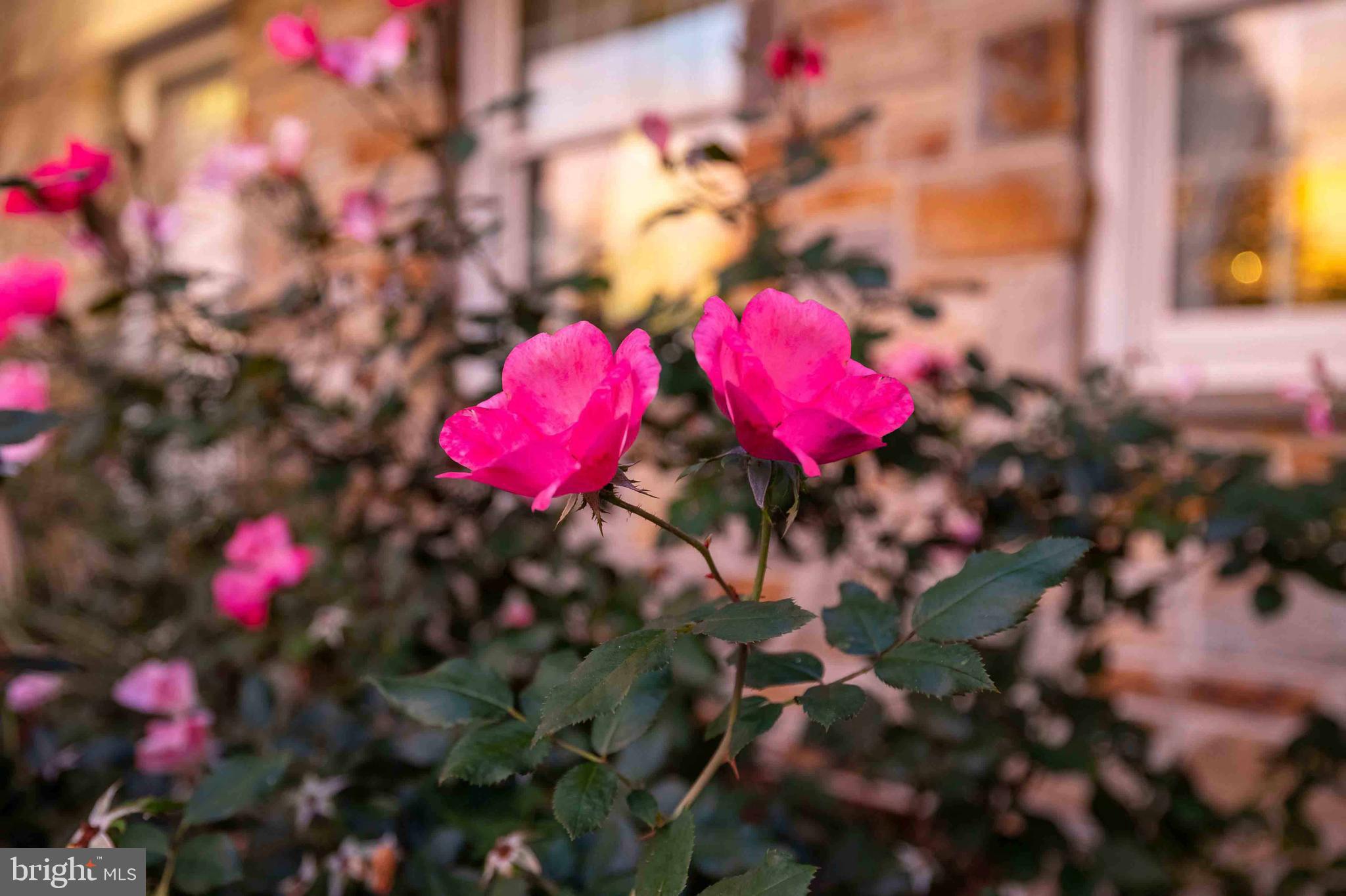 730 Milldam Road Towson, MD 21286 - Photo 25 of 31