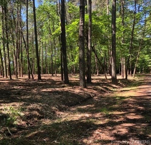 Gallery Image 6